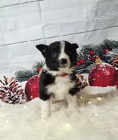 processed/04c82a37-a531-4cde-a3e2-c7fba5eafc81/listing/47da0b58-cd8b-4ca3-afc3-1fa7e284aa6b/b1fe8f32-4284-4c8e-8930-f7cde9778bfc