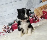 processed/04c82a37-a531-4cde-a3e2-c7fba5eafc81/listing/47da0b58-cd8b-4ca3-afc3-1fa7e284aa6b/cfdadd24-2094-4f1e-b09f-77a993463d93