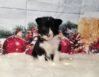 processed/04c82a37-a531-4cde-a3e2-c7fba5eafc81/listing/8622ca93-d57b-4b84-a621-9ad2acf09474/063404f2-5dcb-4658-a7f4-b2faace2722b