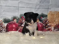 processed/04c82a37-a531-4cde-a3e2-c7fba5eafc81/listing/8622ca93-d57b-4b84-a621-9ad2acf09474/7ff793f7-64c6-4d24-84dc-75ff0596dde1