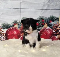 processed/04c82a37-a531-4cde-a3e2-c7fba5eafc81/listing/8622ca93-d57b-4b84-a621-9ad2acf09474/a0df2e17-c5b8-43ac-8983-f2cdafc171e9