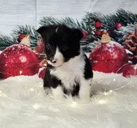 processed/04c82a37-a531-4cde-a3e2-c7fba5eafc81/listing/8622ca93-d57b-4b84-a621-9ad2acf09474/db3855d0-3d3a-4164-b8c2-fb14bbe5cfa0