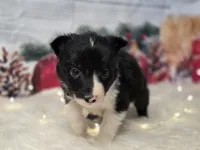 processed/04c82a37-a531-4cde-a3e2-c7fba5eafc81/listing/8622ca93-d57b-4b84-a621-9ad2acf09474/ecf904c3-9e16-4456-b4f6-246f0dbb82b3