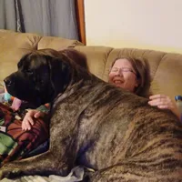 processed/04d5df49-2915-474d-8779-f4880bbd38d0/facility/f3831d61-eb3b-4dcd-8600-bbeff3b40bbe