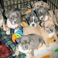 processed/04d6b313-1803-4669-bb4d-bd9ea895be05/facility/2e2a1c0d-22d8-4903-afc5-83178d437ab2