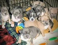 processed/04d6b313-1803-4669-bb4d-bd9ea895be05/facility/2e2a1c0d-22d8-4903-afc5-83178d437ab2