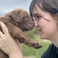 processed/04d6b313-1803-4669-bb4d-bd9ea895be05/facility/32a8c446-7f67-4233-b8fe-0d681202a7b1