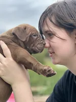 processed/04d6b313-1803-4669-bb4d-bd9ea895be05/facility/32a8c446-7f67-4233-b8fe-0d681202a7b1