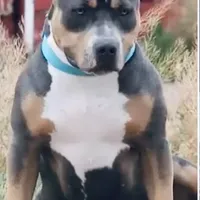 processed/04d6b313-1803-4669-bb4d-bd9ea895be05/facility/3748ebae-0696-4a5e-ab27-1d11e04bc9ec