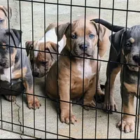 processed/04d6b313-1803-4669-bb4d-bd9ea895be05/facility/ad43c5f0-5b1d-4084-9822-07695ad45fbc