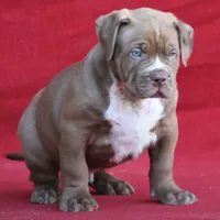 processed/04d6b313-1803-4669-bb4d-bd9ea895be05/facility/c7fa6bb4-7e40-493e-8d72-e12fbadd511e