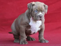 processed/04d6b313-1803-4669-bb4d-bd9ea895be05/facility/c7fa6bb4-7e40-493e-8d72-e12fbadd511e