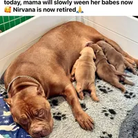 processed/04d6b313-1803-4669-bb4d-bd9ea895be05/facility/f0ecb12e-14dc-4c1e-9126-4ee0b51a5874