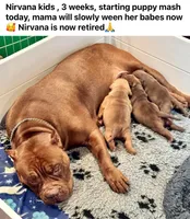 processed/04d6b313-1803-4669-bb4d-bd9ea895be05/facility/f0ecb12e-14dc-4c1e-9126-4ee0b51a5874