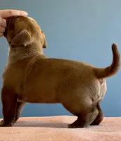 processed/04d6b313-1803-4669-bb4d-bd9ea895be05/listing/ae5e8a4b-d924-4455-b0e7-bdc9c2a9b591/bc0bb8cb-125c-43e7-b0fa-92eb6c171bbe