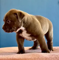 processed/04d6b313-1803-4669-bb4d-bd9ea895be05/listing/ae5e8a4b-d924-4455-b0e7-bdc9c2a9b591/eb3f8974-f3b4-4e47-8425-c004e57b928c