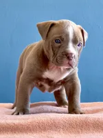 processed/04d6b313-1803-4669-bb4d-bd9ea895be05/listing/e0c3cae0-011d-420f-9de7-35de49ed80a3/13f08874-3dff-4155-b738-247aecf592cc