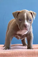 processed/04d6b313-1803-4669-bb4d-bd9ea895be05/listing/e0c3cae0-011d-420f-9de7-35de49ed80a3/4e738872-692e-4841-bc56-d25b5df51ecc