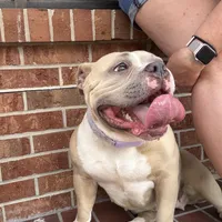 processed/04deff34-682a-49e6-942c-fd2c01a96c49/facility/31783c02-78ab-4ffd-b26b-60038704bc0f