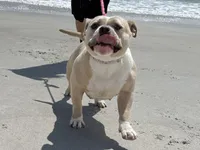 processed/04deff34-682a-49e6-942c-fd2c01a96c49/facility/3e6e8fa9-6a5b-420f-b416-ddee3729c13b