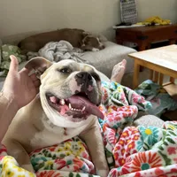 processed/04deff34-682a-49e6-942c-fd2c01a96c49/facility/52a14f38-248e-4ea3-ad92-4e18a9a47264