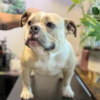 processed/04deff34-682a-49e6-942c-fd2c01a96c49/facility/8265cc35-98e1-4d94-ab4e-575d2cef1e93