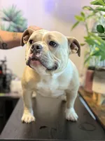 processed/04deff34-682a-49e6-942c-fd2c01a96c49/facility/8265cc35-98e1-4d94-ab4e-575d2cef1e93