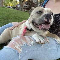 processed/04deff34-682a-49e6-942c-fd2c01a96c49/facility/88974cef-ff8d-4a7f-a1d5-9e1d2ddac415