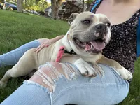 processed/04deff34-682a-49e6-942c-fd2c01a96c49/facility/88974cef-ff8d-4a7f-a1d5-9e1d2ddac415