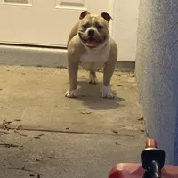 processed/04deff34-682a-49e6-942c-fd2c01a96c49/facility/a6ecd77d-35fd-4b5d-a312-24da7e680c0a