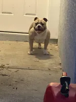 processed/04deff34-682a-49e6-942c-fd2c01a96c49/facility/a6ecd77d-35fd-4b5d-a312-24da7e680c0a