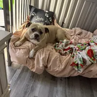 processed/04deff34-682a-49e6-942c-fd2c01a96c49/facility/c1a7c510-2583-40ac-b1a6-70aeb47225de