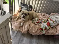 processed/04deff34-682a-49e6-942c-fd2c01a96c49/facility/c1a7c510-2583-40ac-b1a6-70aeb47225de