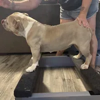 processed/04deff34-682a-49e6-942c-fd2c01a96c49/facility/f8d20b5e-73fc-4e78-8a2f-c3387418922b