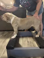 processed/04deff34-682a-49e6-942c-fd2c01a96c49/facility/f8d20b5e-73fc-4e78-8a2f-c3387418922b