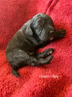 processed/04e95100-b98f-4140-8a0a-9d3972bedca3/listing/0c465968-cd70-47bc-9482-5834e37ca7c8/31be8b70-5dd7-4197-9687-b2fe16c22cda