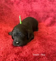 processed/04e95100-b98f-4140-8a0a-9d3972bedca3/listing/0c465968-cd70-47bc-9482-5834e37ca7c8/eaae5a75-89d8-41e9-a5d3-74793f6a3855