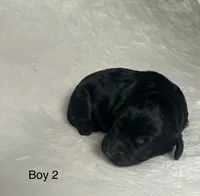 processed/04e95100-b98f-4140-8a0a-9d3972bedca3/listing/af69ac6d-2bb8-43bb-acce-c53fa3783d37/85b8a9a8-5fb0-4d65-8f87-0be51dc2541e