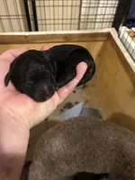 processed/04e95100-b98f-4140-8a0a-9d3972bedca3/listing/af69ac6d-2bb8-43bb-acce-c53fa3783d37/90491417-2cac-4045-842d-89e72756395f