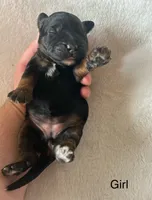 processed/04e95100-b98f-4140-8a0a-9d3972bedca3/listing/b9122fae-2dcc-40e1-ac7a-7176d32f8e71/4214e1ca-e7a1-42ec-b52e-97572d5fb5ec