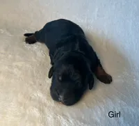 processed/04e95100-b98f-4140-8a0a-9d3972bedca3/listing/b9122fae-2dcc-40e1-ac7a-7176d32f8e71/635b97ff-6d8c-4824-b883-c6b82c93c31f