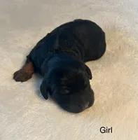 processed/04e95100-b98f-4140-8a0a-9d3972bedca3/listing/b9122fae-2dcc-40e1-ac7a-7176d32f8e71/d452a93c-0ce2-46e6-9782-0ea29e08cb80