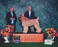 processed/04ebbdaf-485b-451d-ac73-befcc5658d13/facility/4936f547-e9fd-4fcc-b720-ccad69c04a2b