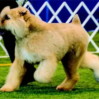 processed/04ebbdaf-485b-451d-ac73-befcc5658d13/facility/58105c5e-ee61-4084-81f2-fbfc293528b3