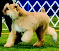 processed/04ebbdaf-485b-451d-ac73-befcc5658d13/facility/58105c5e-ee61-4084-81f2-fbfc293528b3