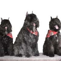 processed/04ebbdaf-485b-451d-ac73-befcc5658d13/facility/90228b6d-e286-497c-b411-568709ee3e4c