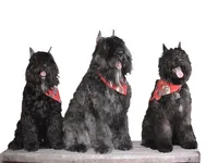 processed/04ebbdaf-485b-451d-ac73-befcc5658d13/facility/90228b6d-e286-497c-b411-568709ee3e4c