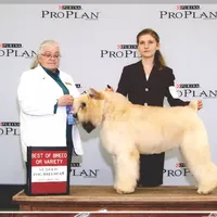 processed/04ebbdaf-485b-451d-ac73-befcc5658d13/facility/d1a87448-3405-4a55-b7c4-2c88bc78cf28