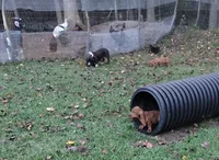 processed/04f19224-96cc-48f2-950b-28c80821788f/facility/1bc64951-4724-4066-806f-80faa6cf4241