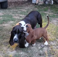 processed/04f19224-96cc-48f2-950b-28c80821788f/facility/39a96f16-e7a6-4430-858a-e9b2e43d57f1